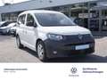 Volkswagen Caddy 2.0 TDI DSG AHK Navi PDC Klima ACC u Weiß - thumbnail 3