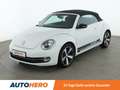 Volkswagen Beetle 2.0 TDI Sport BlueMotion Tech Aut.*PDC*SHZ*KLIMA* Weiß - thumbnail 1