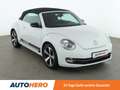 Volkswagen Beetle 2.0 TDI Sport BlueMotion Tech Aut.*PDC*SHZ*KLIMA* Weiß - thumbnail 8