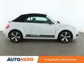 Volkswagen Beetle 2.0 TDI Sport BlueMotion Tech Aut.*PDC*SHZ*KLIMA* Weiß - thumbnail 7