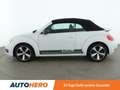 Volkswagen Beetle 2.0 TDI Sport BlueMotion Tech Aut.*PDC*SHZ*KLIMA* Weiß - thumbnail 3