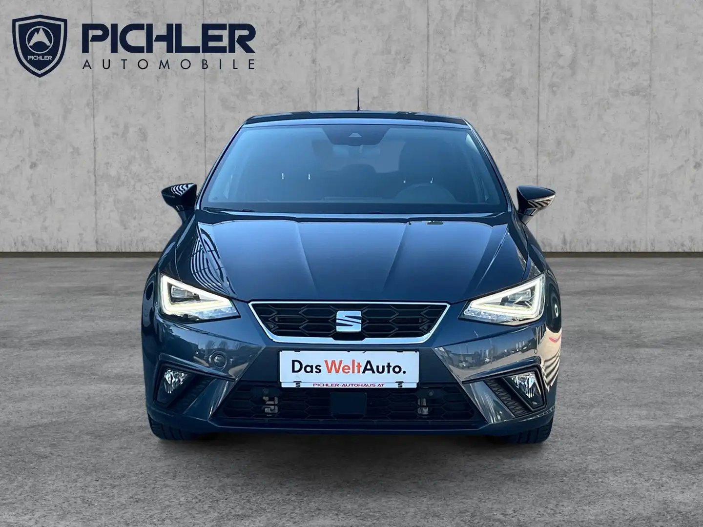 SEAT Ibiza FR 1.0 TSI Grau - 2