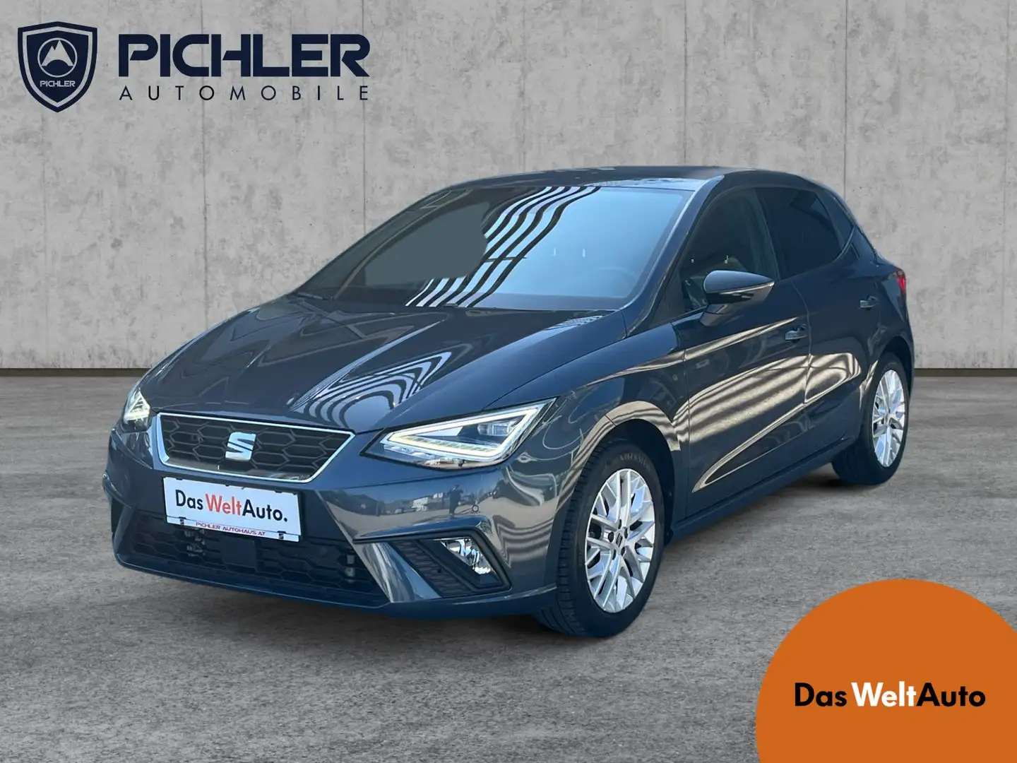 SEAT Ibiza FR 1.0 TSI Grau - 1