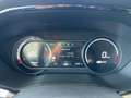 Kia Niro e- 64-kWh Spirit ACC Navi FLA Bel.Sitz Grau - thumbnail 13