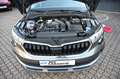 Skoda Kamiq 1.5 TSI Selection Navi Kamera 5tkm Gris - thumbnail 23