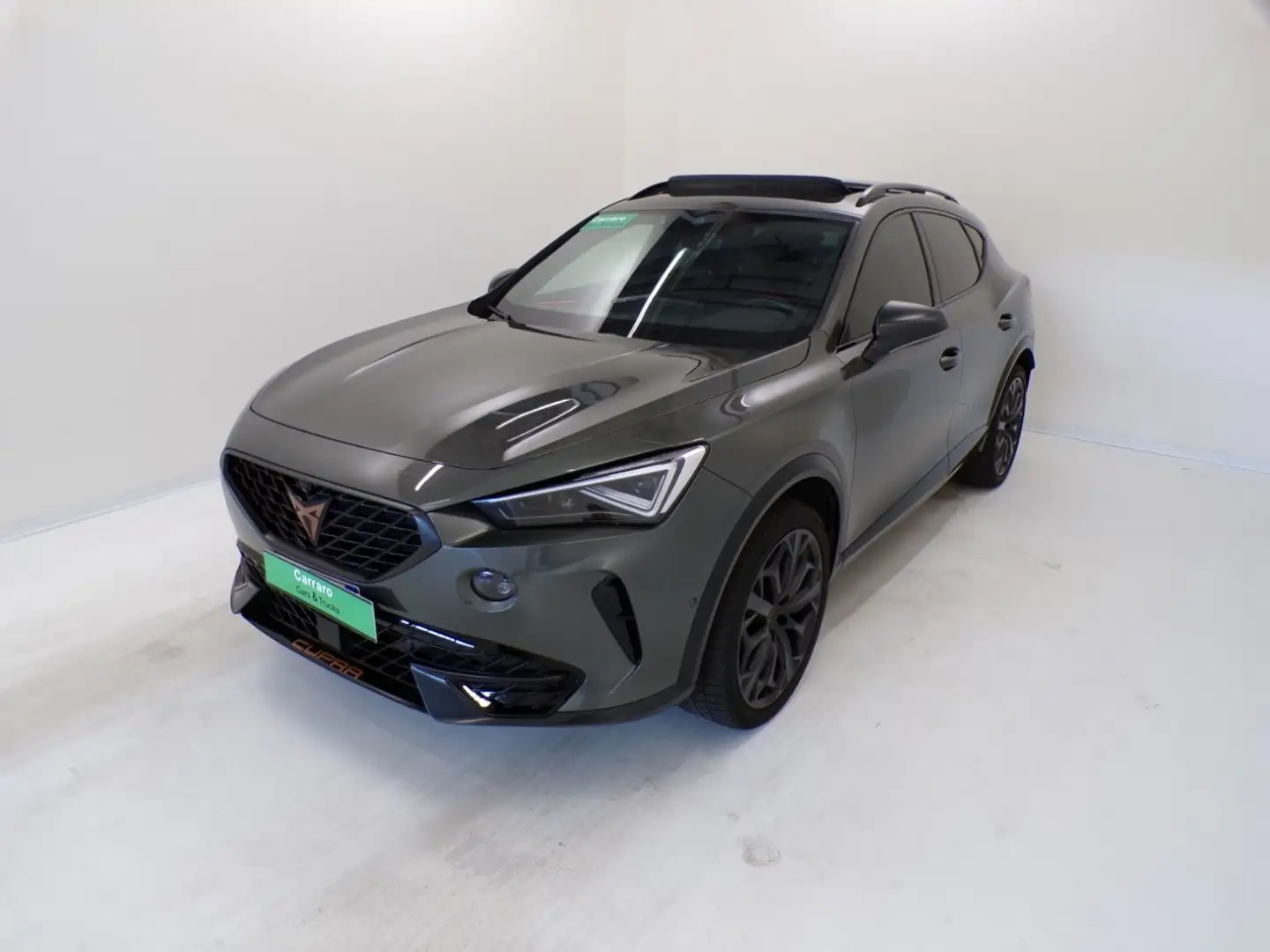 CUPRA Formentor - Formentor 2.0 tsi Tribe Edition 245cv dsg Verde - 1