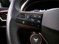 CUPRA Formentor - Formentor 2.0 tsi Tribe Edition 245cv dsg Verde - thumbnail 20