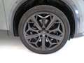 CUPRA Formentor - Formentor 2.0 tsi Tribe Edition 245cv dsg Verde - thumbnail 4