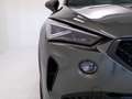 CUPRA Formentor - Formentor 2.0 tsi Tribe Edition 245cv dsg Verde - thumbnail 5