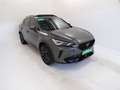 CUPRA Formentor - Formentor 2.0 tsi Tribe Edition 245cv dsg Verde - thumbnail 3