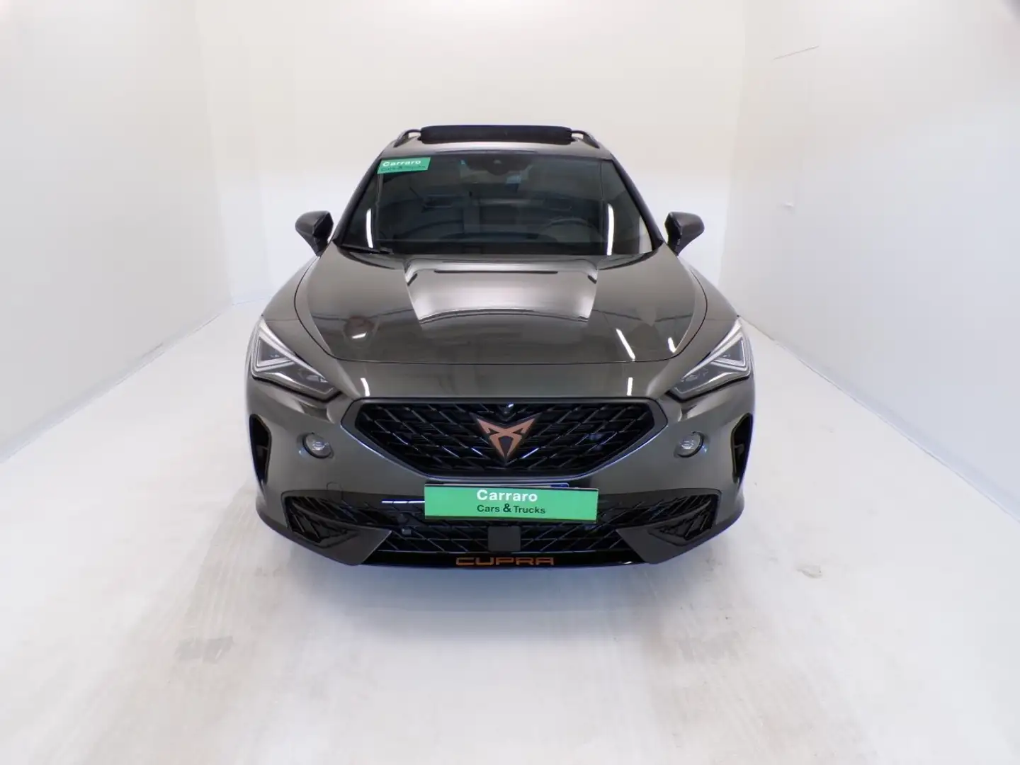 CUPRA Formentor - Formentor 2.0 tsi Tribe Edition 245cv dsg Verde - 2