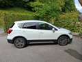 Suzuki SX4 S-Cross SX4 S-Cross 1,6 Allgrip flash Weiß - thumbnail 2