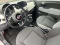Fiat 500 1,2 | Apple CarPlay - Zahnriemen & Service Neu - Weiß - thumbnail 9
