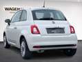 Fiat 500 1,2 | Apple CarPlay | Klima | Bluetooth | Zahnrie Weiß - thumbnail 2
