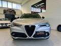 Alfa Romeo Stelvio 2.2 Turbodiesel 210CV AT8 Q4 B-Tech *TETTO* Argento - thumbnail 2