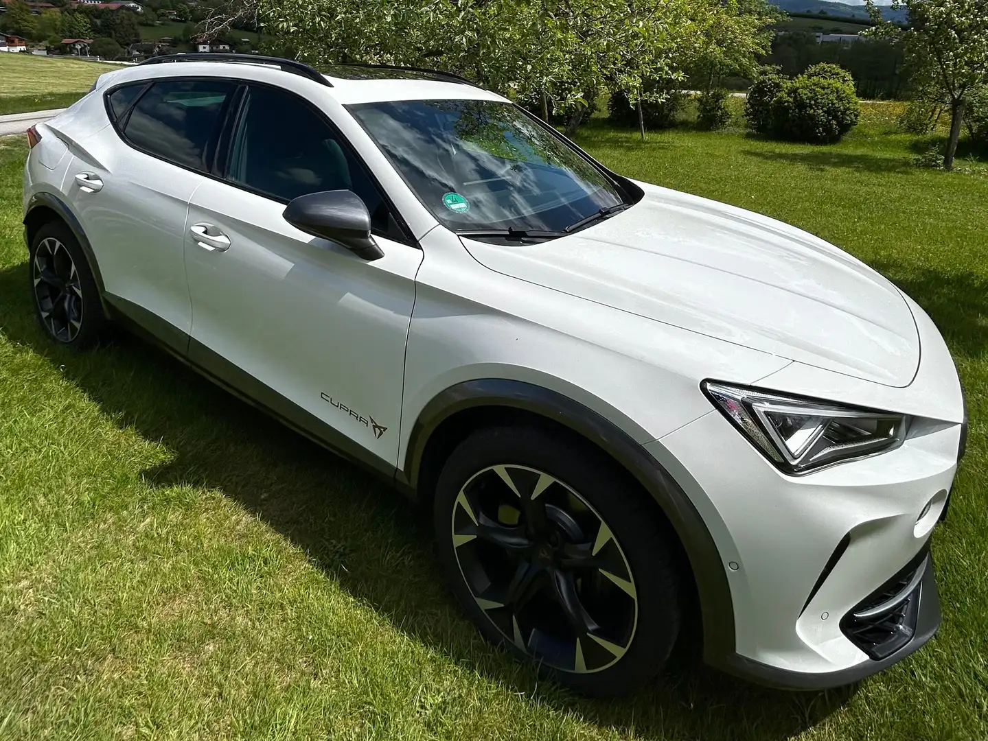 CUPRA Formentor VZ 2.0 TSI 4Drive DSG Weiß - 1