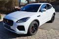 Jaguar E-Pace E-Pace 2.0DI4 D180 R-Dynamic S AWD Aut. Weiß - thumbnail 2