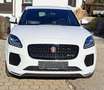 Jaguar E-Pace E-Pace 2.0DI4 D180 R-Dynamic S AWD Aut. Weiß - thumbnail 4