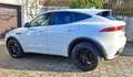 Jaguar E-Pace E-Pace 2.0DI4 D180 R-Dynamic S AWD Aut. Weiß - thumbnail 5