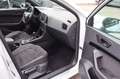 CUPRA Ateca 2.0 TSI Basis 4Drive_DCC_360°_Navi+_Pano_ Weiß - thumbnail 16