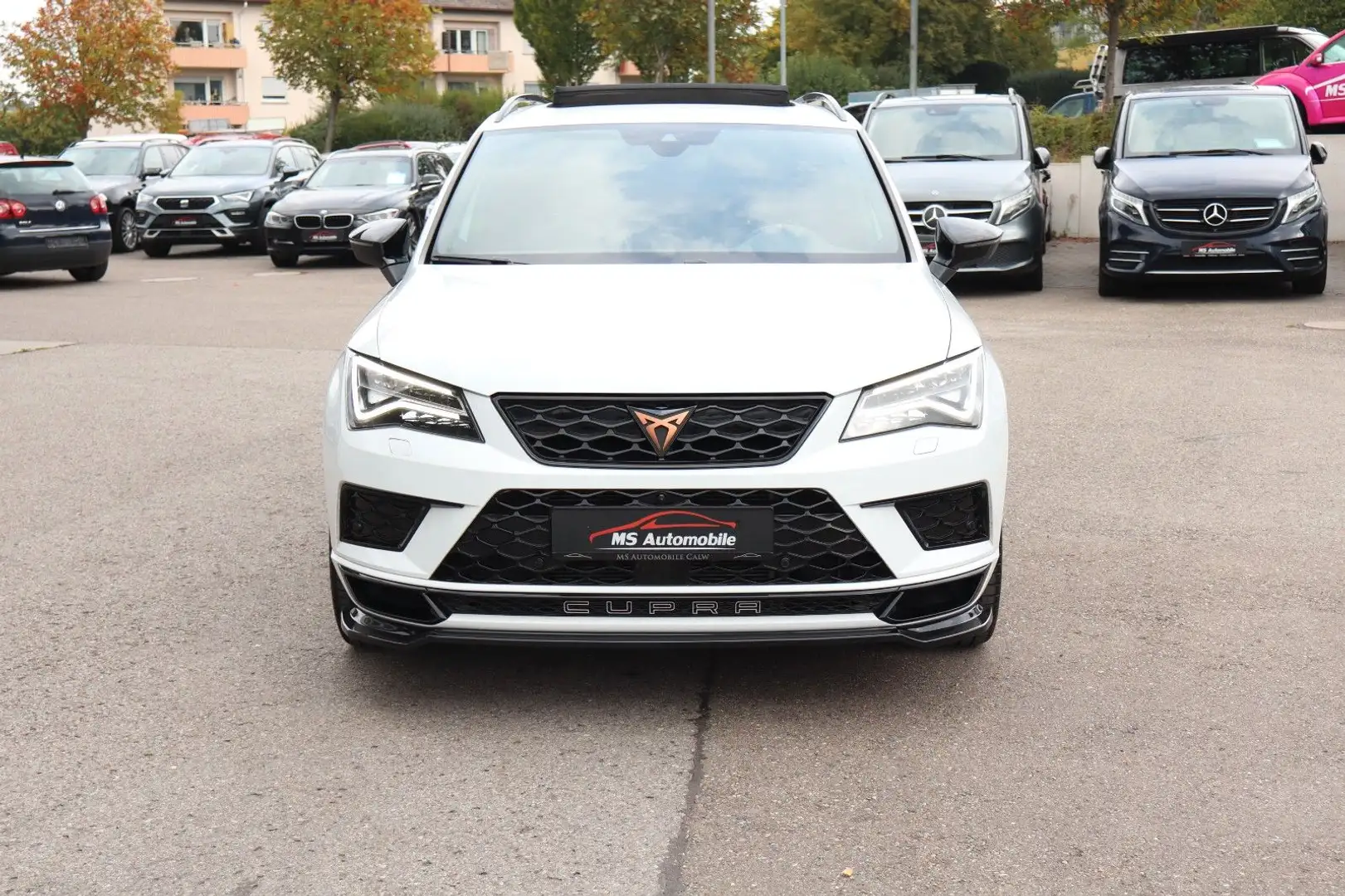 CUPRA Ateca 2.0 TSI Basis 4Drive_DCC_360°_Navi+_Pano_ Weiß - 2