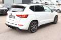 CUPRA Ateca 2.0 TSI Basis 4Drive_DCC_360°_Navi+_Pano_ Weiß - thumbnail 5