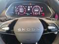 Skoda Octavia Combi 2.0 TSI 195 kW RS Rot - thumbnail 14