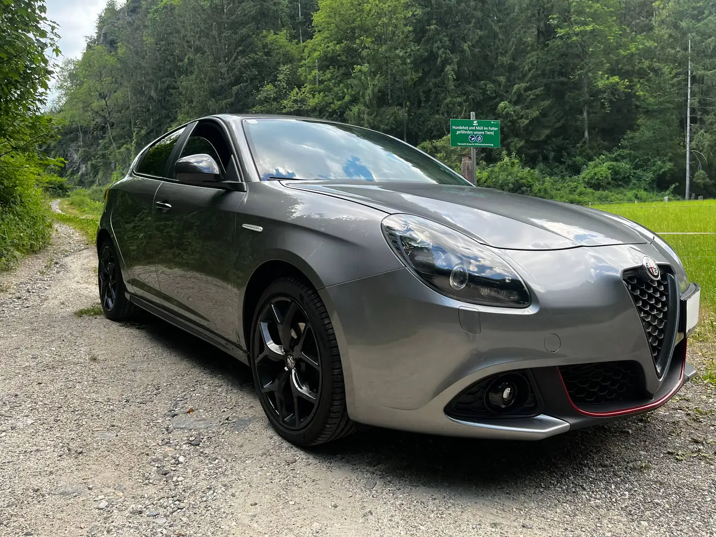Alfa Romeo Giulietta Giulietta B-Tech 1,6 JTDM-2 120 B-Tech Grau - 1