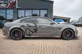 Dodge Charger 6,2 V8 SRT Hellcat Supercharged Grey - thumbnail 12