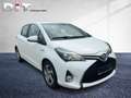 Toyota Yaris 1.5l Hyb. Edition-S Linksgas, Shz, Kamera Weiß - thumbnail 5