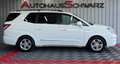 SsangYong Rodius Sapphire 7Sitzer Klima Leder PDC SHZ Alu Weiß - thumbnail 8