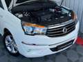 SsangYong Rodius Sapphire 7Sitzer Klima Leder PDC SHZ Alu Weiß - thumbnail 9
