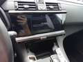 DS Automobiles DS 7 DS 7 BlueHDi 130 aut. Opera Nero - thumbnail 3