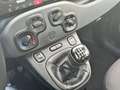 Fiat Panda 1.0 FireFly 70cv S&S Hybrid Orange - thumbnail 15