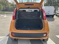 Fiat Panda 1.0 FireFly 70cv S&S Hybrid Orange - thumbnail 11