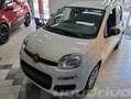 Fiat Panda 1.0 FireFly S&S Hybrid Pop KM0 Weiß - thumbnail 2