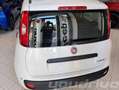 Fiat Panda 1.0 FireFly S&S Hybrid Pop KM0 Weiß - thumbnail 4