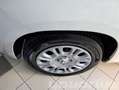 Fiat Panda 1.0 FireFly S&S Hybrid Pop KM0 Blanc - thumbnail 15