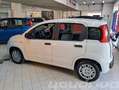 Fiat Panda 1.0 FireFly S&S Hybrid Pop KM0 Weiß - thumbnail 3