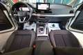 Audi Q5 40 TDI Sportback SPB Quattro S-Tronic Bs. Advanced Blanc - thumbnail 15