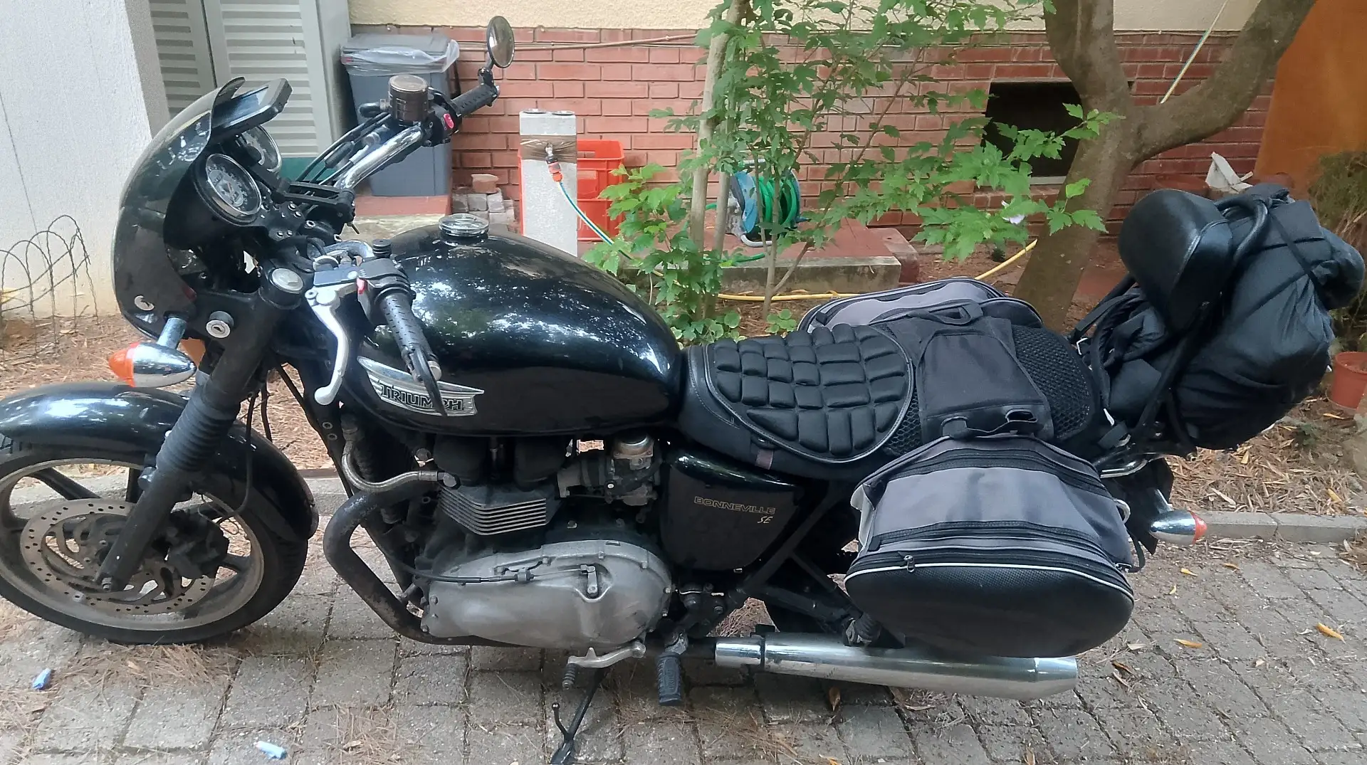 Triumph Bonneville SE Zwart - 2