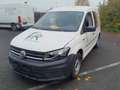 Volkswagen Caddy 1.0TSI Kasten EcoProfi +FLÜGELT.+LICHT/SIC Weiß - thumbnail 2