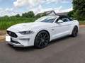 Ford Mustang Mustang Convertible 5.0 ti-vct V8 GT!!! Bianco - thumbnail 8