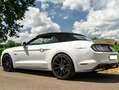 Ford Mustang Mustang Convertible 5.0 ti-vct V8 GT!!! Bianco - thumbnail 4