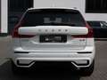 Volvo XC60 2.0 R Design AWD SHZ H/K NAVI LED PANO White - thumbnail 4