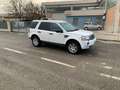 Land Rover Freelander Freelander II 2.2 td4 SE 4wd 150cv Weiß - thumbnail 4