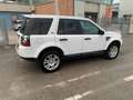 Land Rover Freelander Freelander II 2.2 td4 SE 4wd 150cv Weiß - thumbnail 3