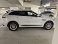 Jaguar F-Pace R-Sport AWD Weiß - thumbnail 7