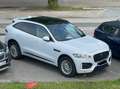 Jaguar F-Pace R-Sport AWD Weiß - thumbnail 8