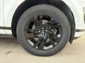 Land Rover Range Rover Evoque 2.0D I4 163 CV AWD Auto SE Bianco - thumbnail 10